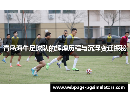 青岛海牛足球队的辉煌历程与沉浮变迁探秘