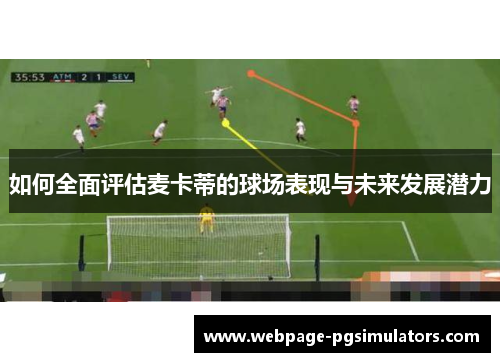 如何全面评估麦卡蒂的球场表现与未来发展潜力