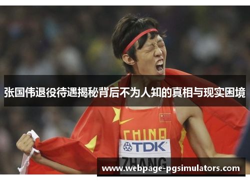 张国伟退役待遇揭秘背后不为人知的真相与现实困境