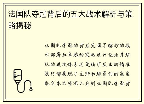 法国队夺冠背后的五大战术解析与策略揭秘